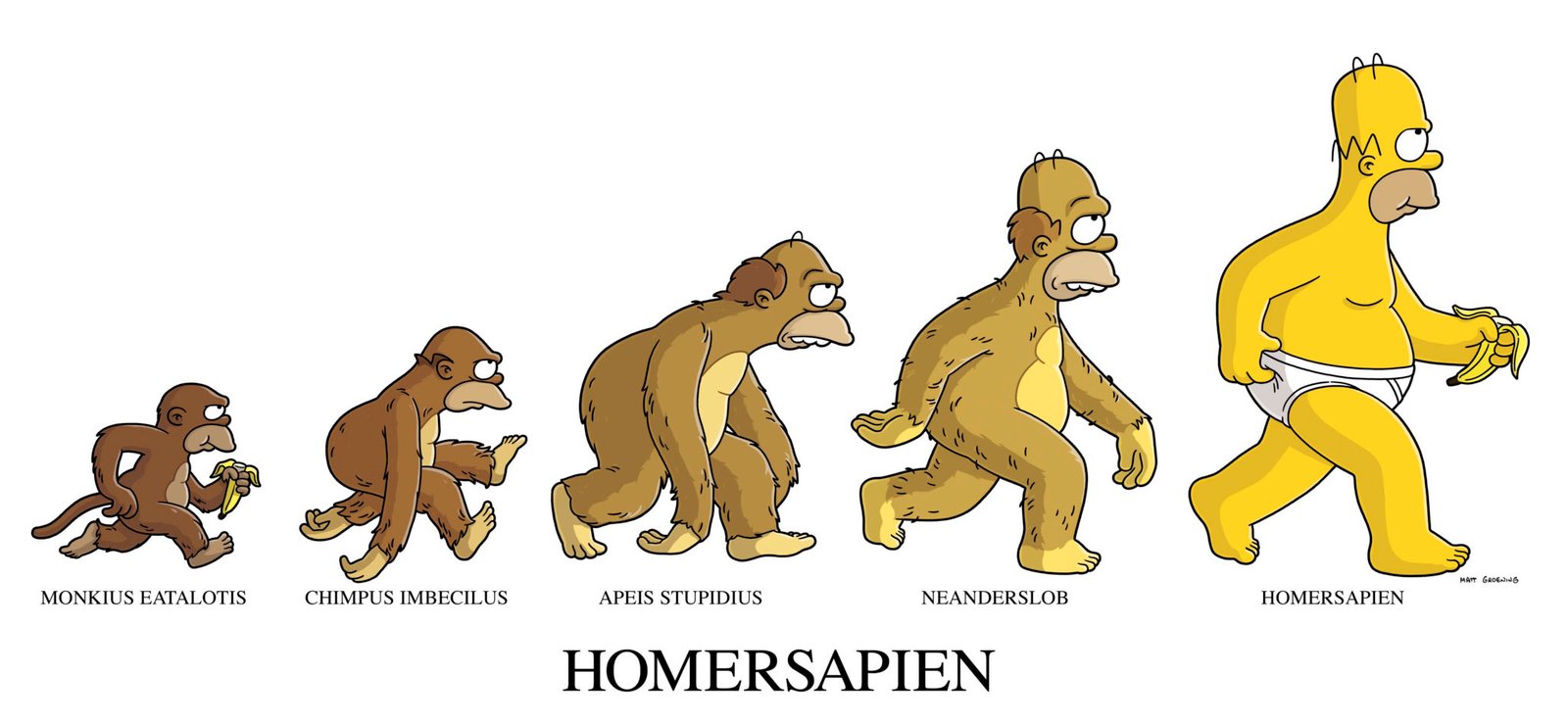 THE SIMPSONS: Flanders calls Homer an ape and makes a case for evolution revolution in THE SIMPSONS episode "The Monkey Suit" airing Sunday, May 14 (8:00-8:30 PM ET/PT) on FOX. THE SIMPSONSª & ©2006TCFFC ALL RIGHTS RESERVED. ©2006FOX BROADCASTING CR:FOX
