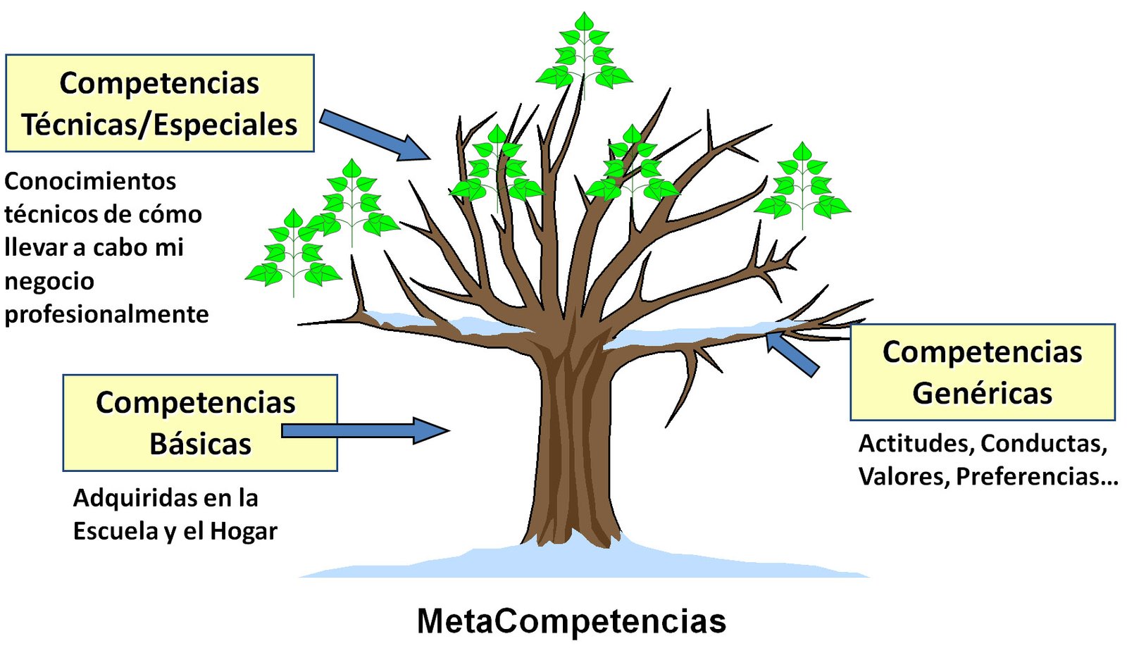 tipos-competencias