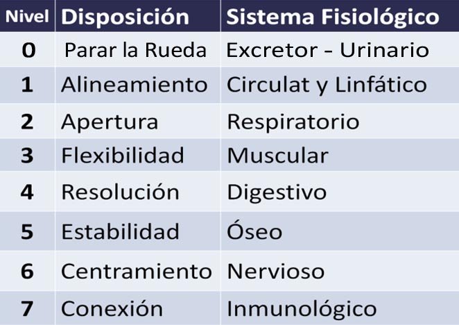 disposiciones