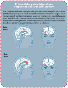 cerebro-social