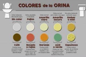 orina_colores