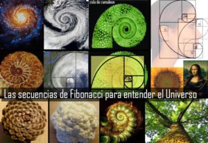 patronesdeluniverso-fibonacci