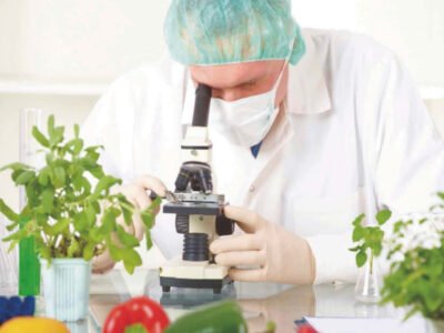 Tecnología de los Alimentos